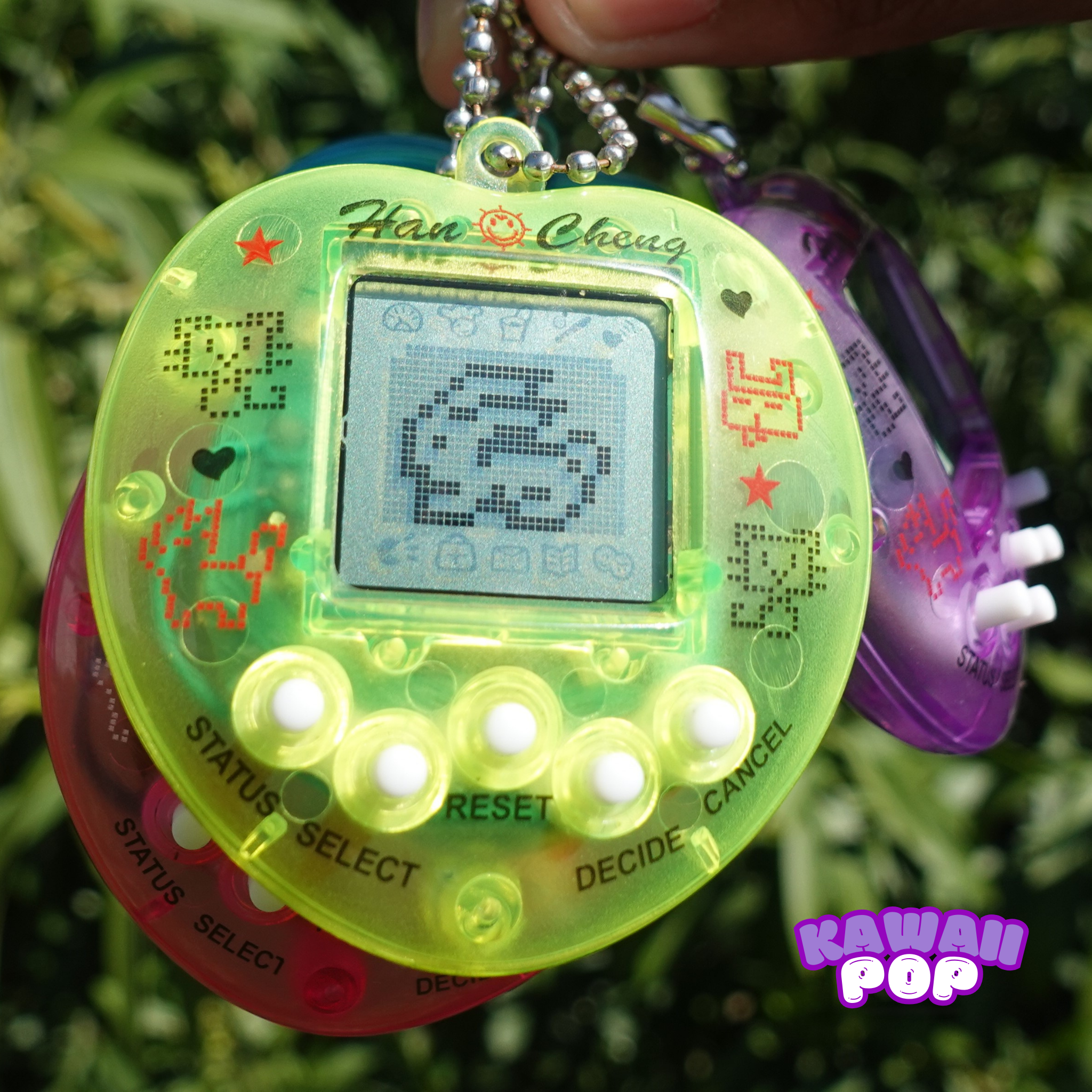 Digital Pet Keychain