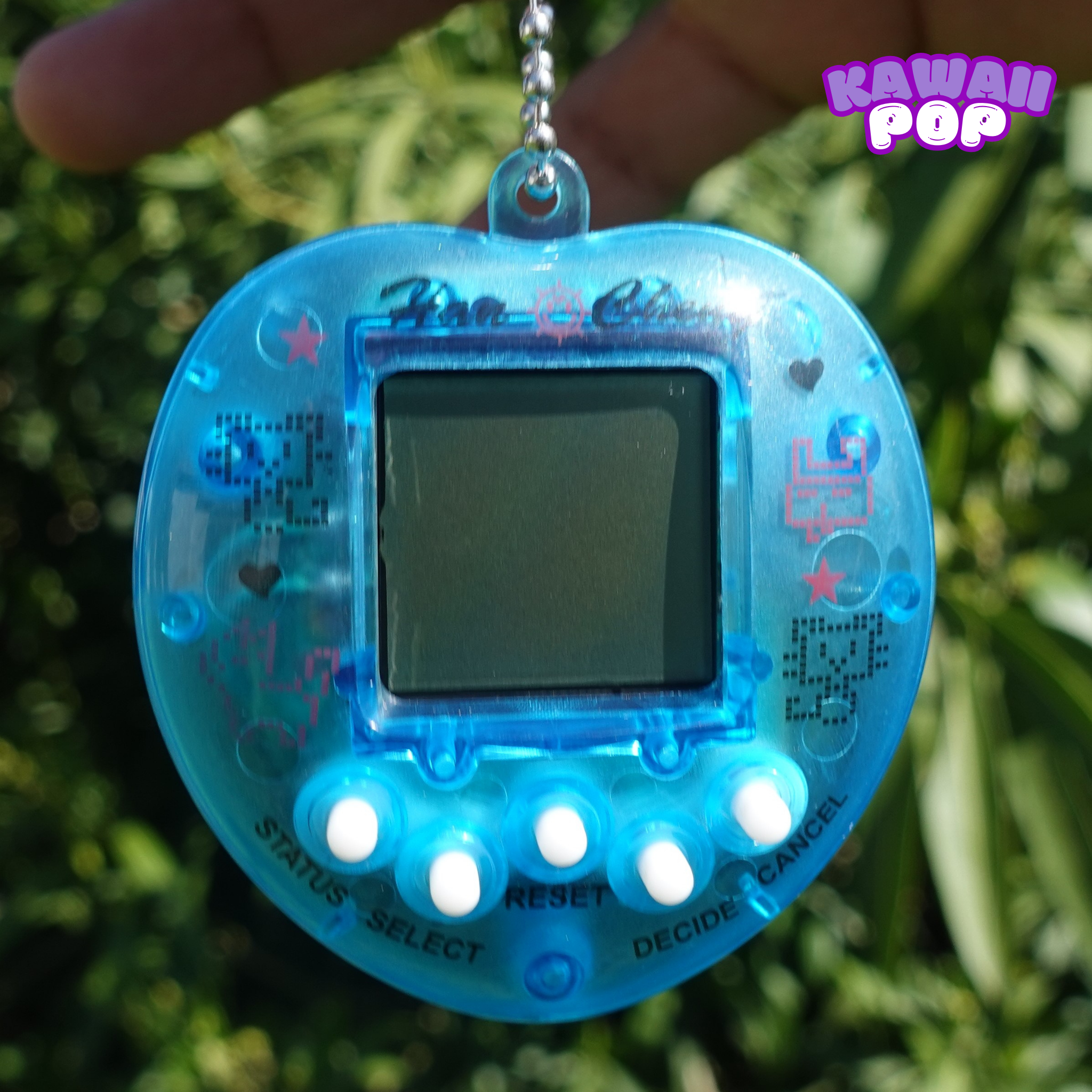 Digital Pet Keychain