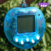 Digital Pet Keychain
