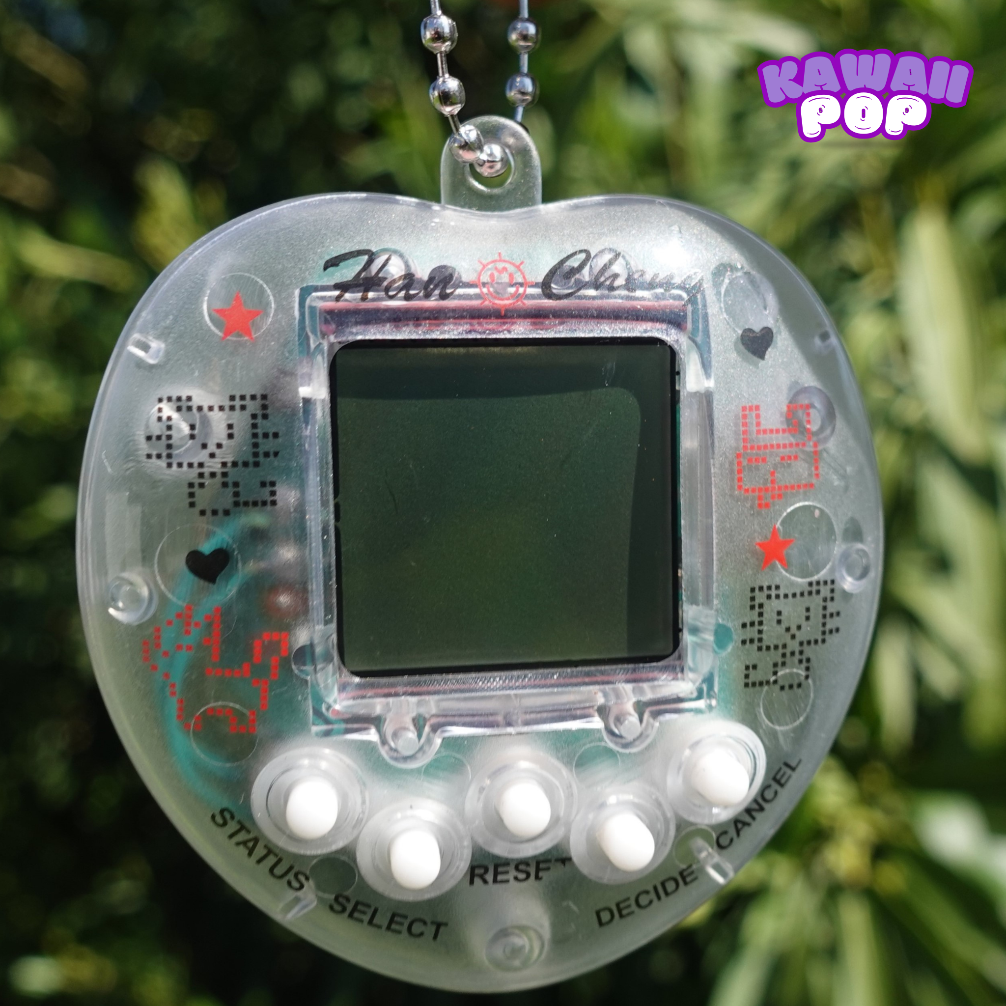 Digital Pet Keychain