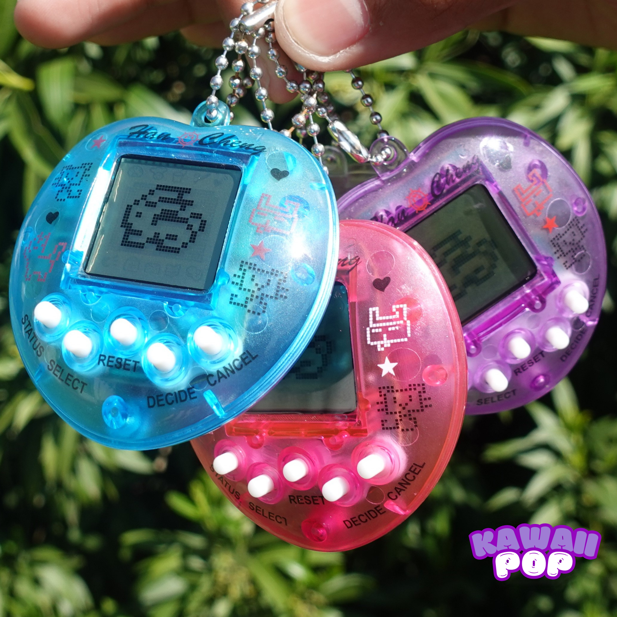 Digital Pet Keychain