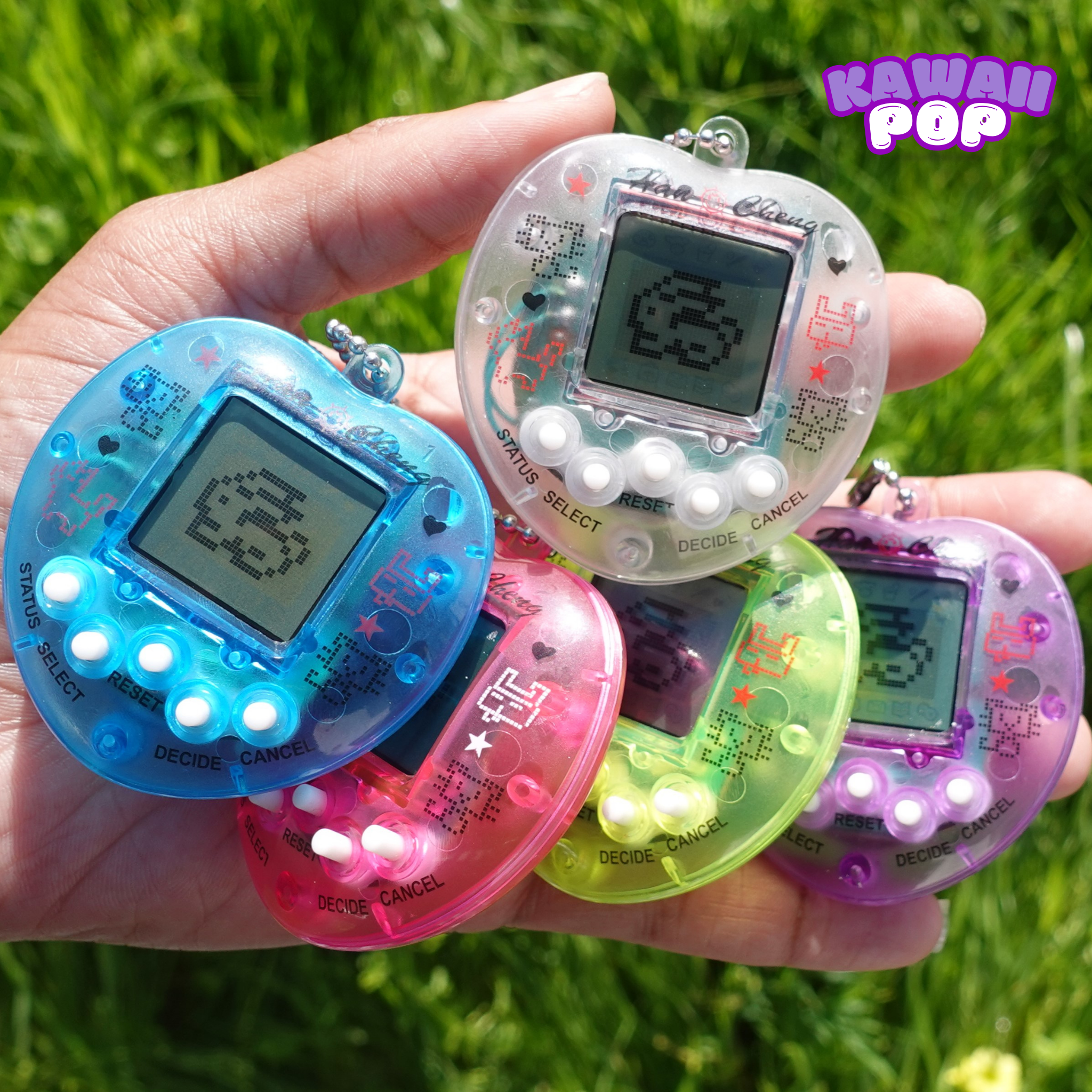 Digital Pet Keychain