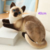 Siamese Plush Kitty-Cat