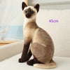 Siamese Plush Kitty-Cat